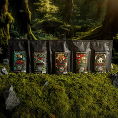 World Tour Single-Origin Sample Pack
